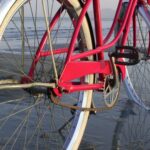 Como Escolher Bicicleta Aro 29 para Trilhas Leves