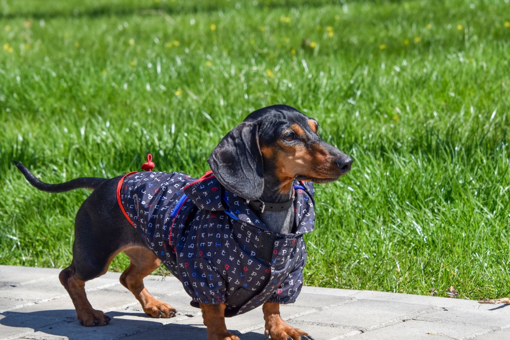 Como Aplicar Grama Sintetica em Varanda